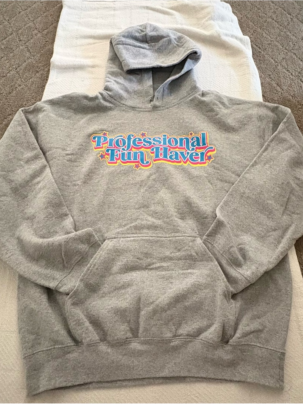 Dizzy Gray Hoodie with Colorful "Professional Fun Haver" Graphic